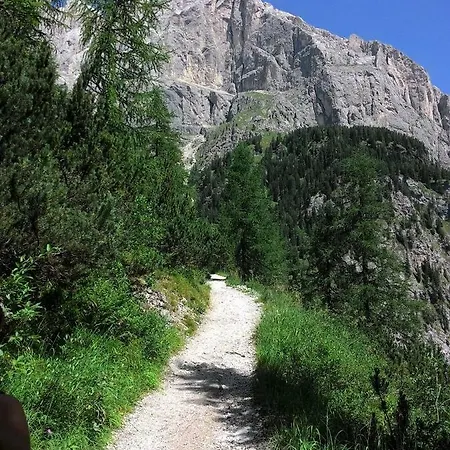 Cirmolo Alleghe